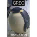 Pogeidon