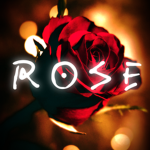 Rose Gold Clothing