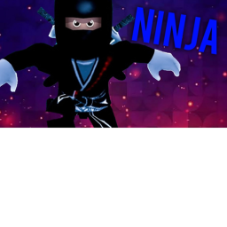 Be a Ninja!