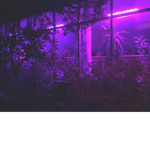 *! $AD V¡b3s !*