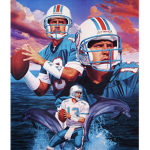 Miami Dolphins fan cave