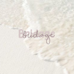 Bridage