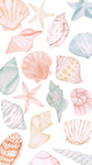 || the seashell dance company