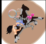 <*Aesthetic academy*>