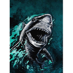 Shark_Group1