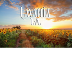 Lavania LA