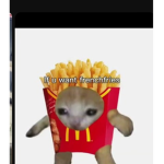 The best gruop ever on Roblox