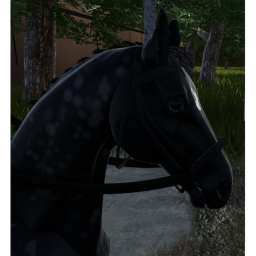 Haras Royal Astral [ voice chat ]