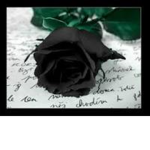 Roses...