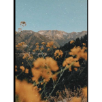Lovely Blossoms <33