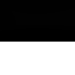 Black Box