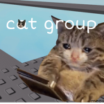 cat gro.up