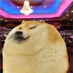 The Doge teammmm