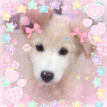 _ - puppichan - _