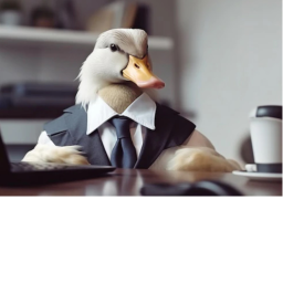 ducky meetings