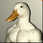 OCTANE SEAL