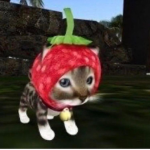 strawberry cat poop