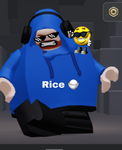 Riceispregood