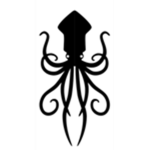 Black Fleet