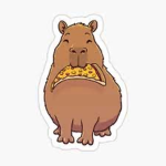 Capybara Pizza Agency Supply Co.