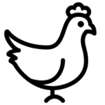 Team Birb
