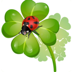 Kingdom Of Clovers