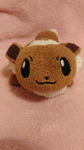DR Team Eeveelution