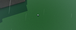 no grass toucher