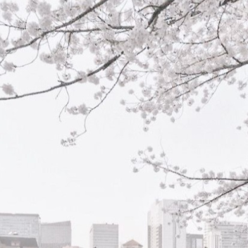 ────୨ৎ────