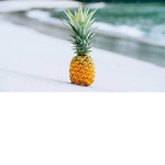 Pineapples are edible