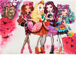 novi stars team