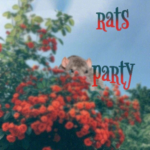 dead rats