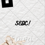 sldc dance group !