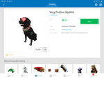 Team Hawaii dog