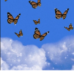 Butterfly...beautyzz
