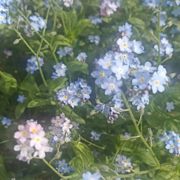 ♡
