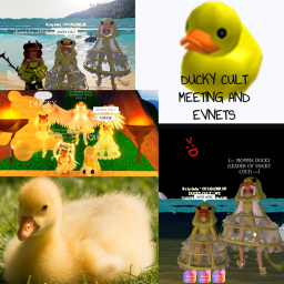 Official Ducky Cult Meeting/Event