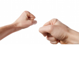 Da Fist Fight