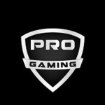 Expert Gaming Group