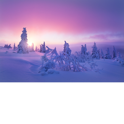 ColdWinter