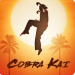 Wendore karate