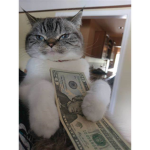 Rich Kit Kats