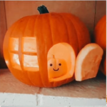 You love fall!