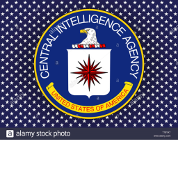 Basic Central intelligence agencey roleplay