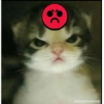 Ello....