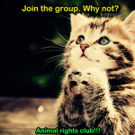 Animal rights club!!!