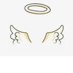FlySafe