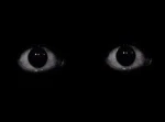 Two Scary Eyes Group Thumbnail