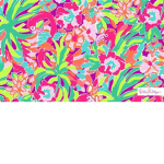 ~ & * NOVAS APPAREL * & ~