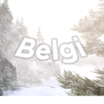Belgi